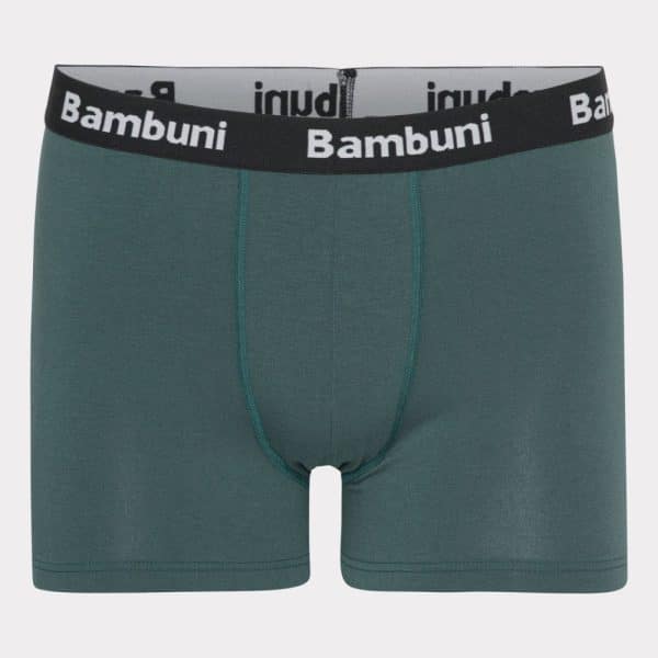 Bambus underbukser i grøn til mænd 2XL