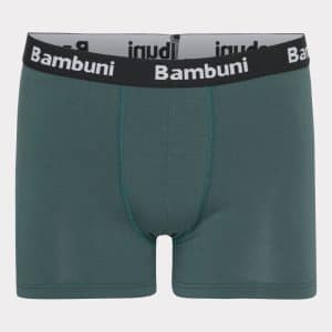 Bambus underbukser i grøn til mænd L