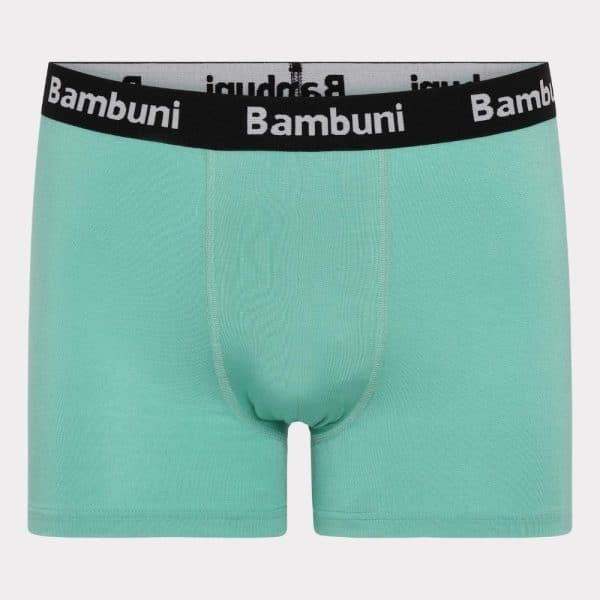 Bambus underbukser i mint til mænd S