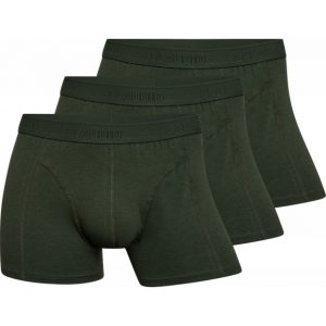 Claudio 3pak bambus underbukser/tights i grøn til herre