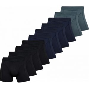 Claudio 10pak bambus underbukser/tights i multifarvet til herre