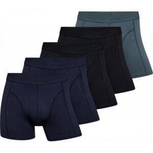 Claudio 5pak bambus underbukser/tights i multifarvet til herre